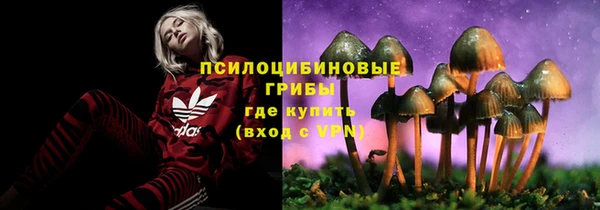 стафф Арсеньев