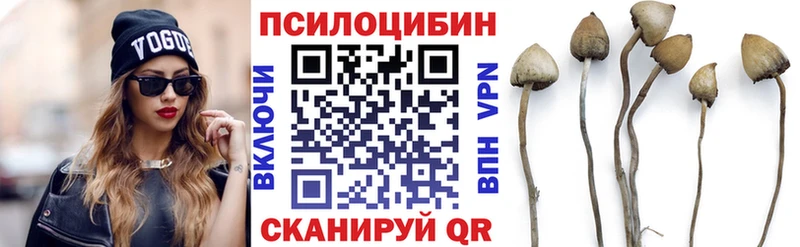 shop официальный сайт кракен как зайти Балей Псилоцибиновые грибы прущие грибы